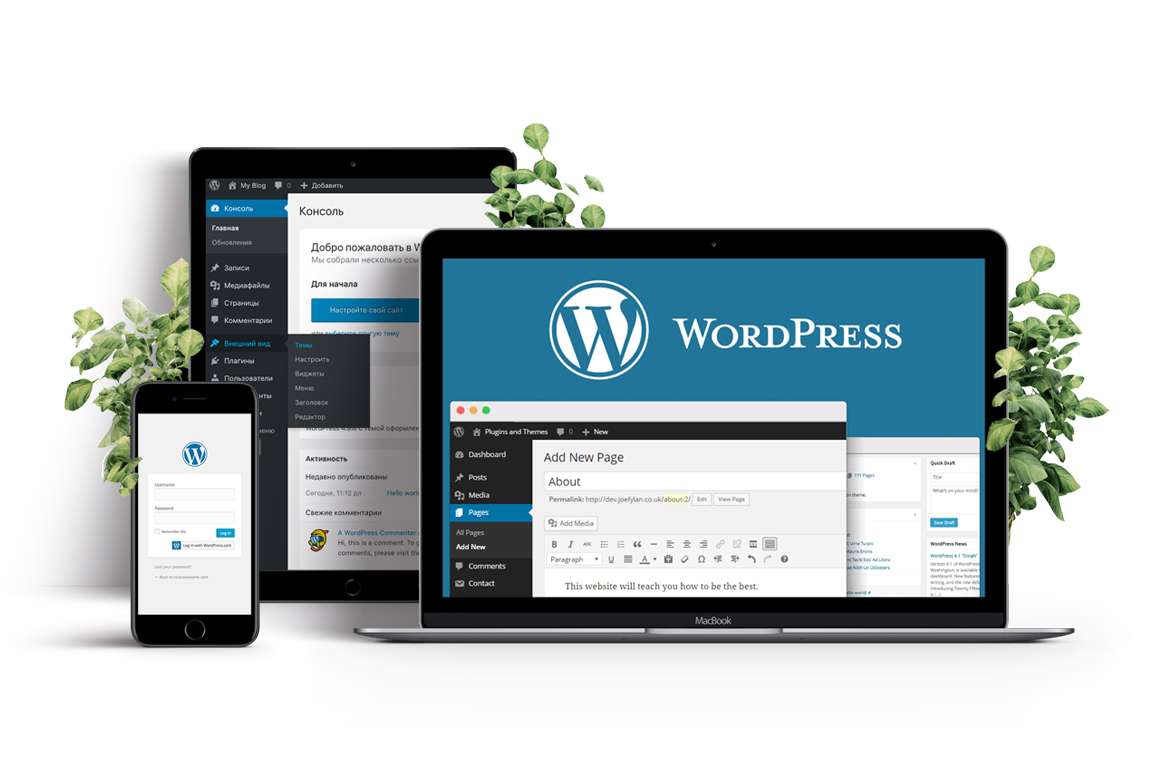 WordPress-Plugins-And-Software